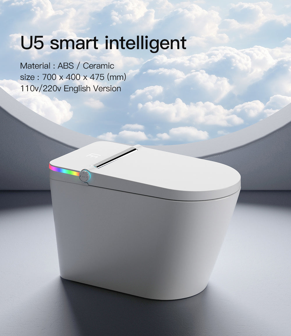 Tankless Bidet Toilet — Factory Direct OEM/ODM