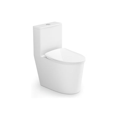 Ceramic one-piece toilet with elongated bowl — SANIKB 6653