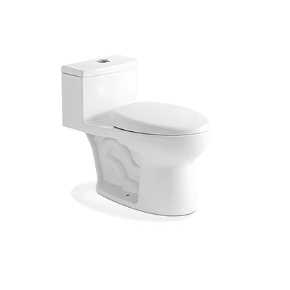 Ceramic one-piece toilet with dual-flush button and elongated bowl — SANIKB 2021