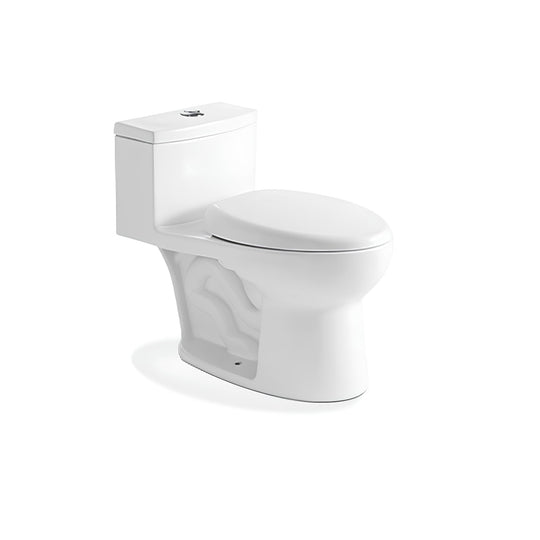 Ceramic one-piece toilet with dual-flush button and elongated bowl — SANIKB 2021