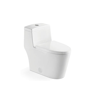 Ceramic one-piece toilet with dual-flush button and elongated bowl — SANIKB 2217