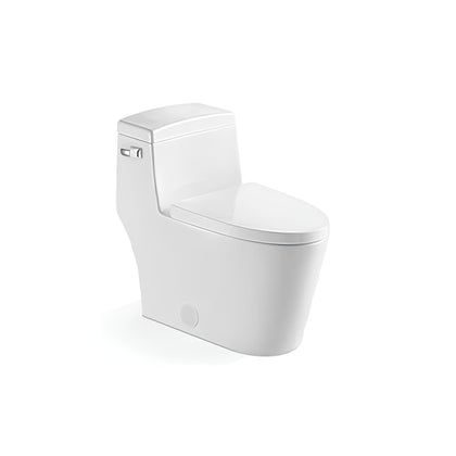 SANIKB One-Piece Toilet 2217