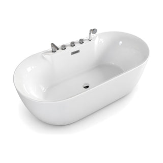 SANIKB FT051/FT052 - white oval double-ended freestanding tub with a spout, handles and hand shower on a raised side ledge
