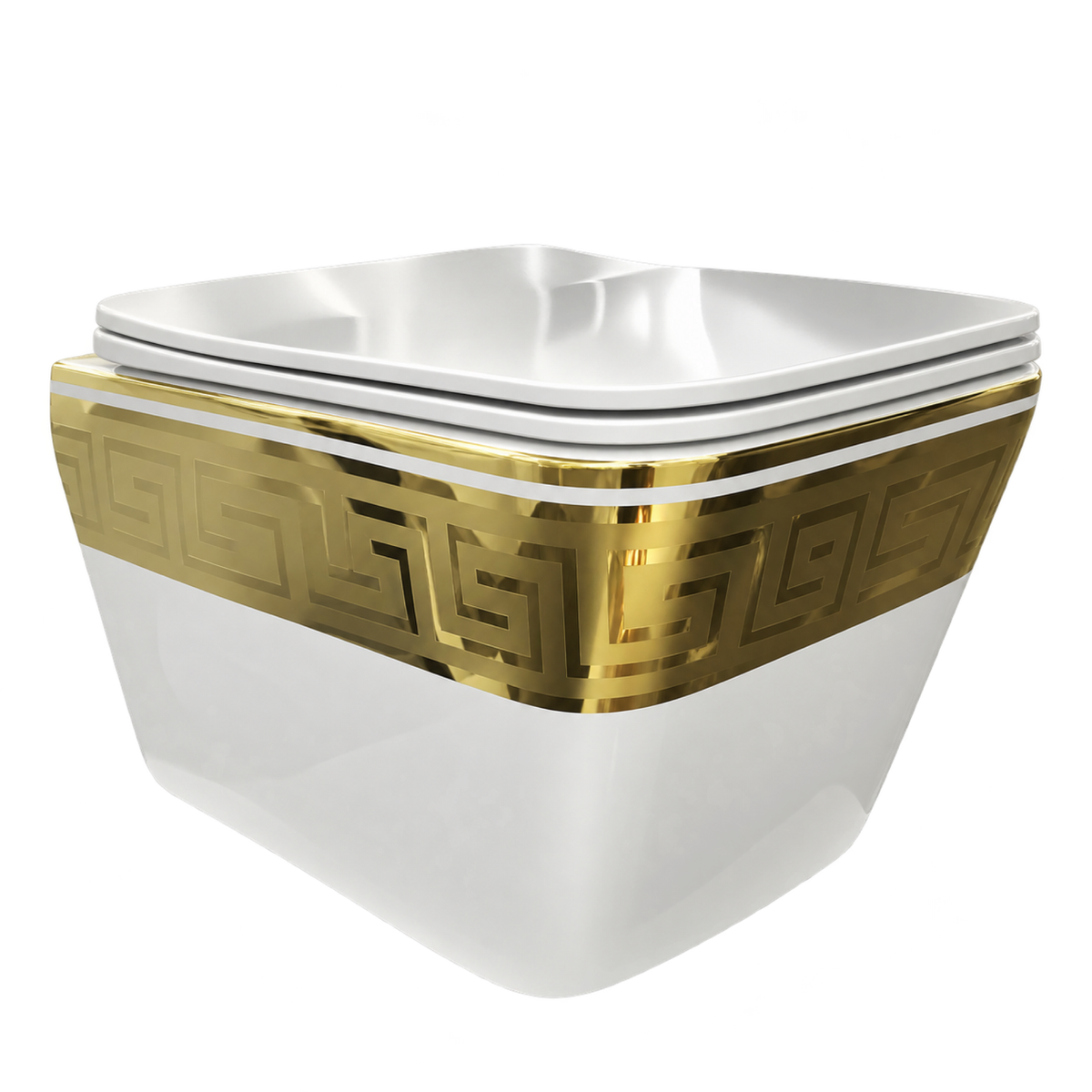 SANIKB FT-501R/510T ceramic wall-hung toilet, factory design 41
