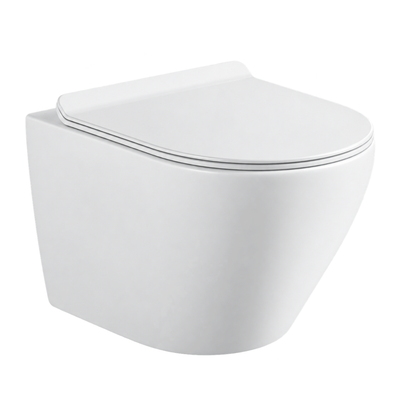 SANIKB FT-705 wall-hung toilet, White