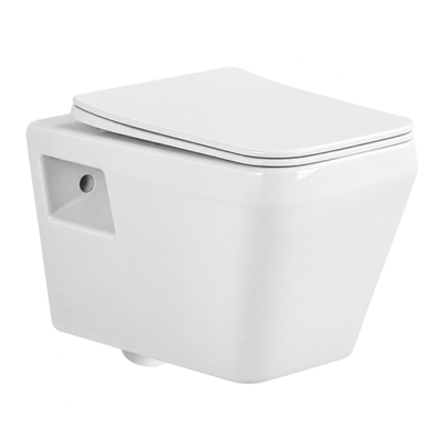 SANIKB FT-824BF 21 inch wall hung toilet 180mm p trap