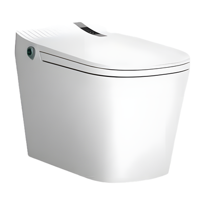 SANIKB H869 high tech bidet toilet