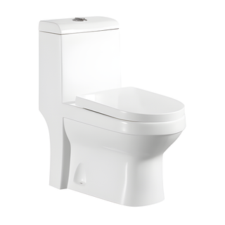 SANIKB HSJ-2201 siphonic one piece toilet