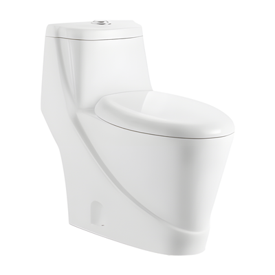 SANIKB HSJ-2202 27 inch washdown one piece toilet 10/12 inch rough in