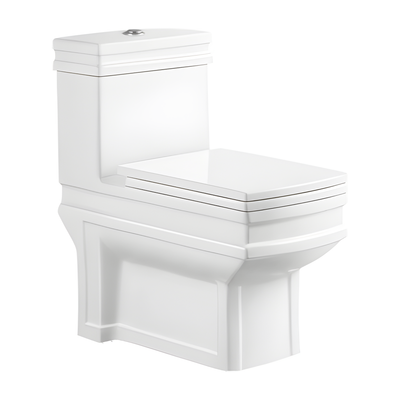 SANIKB HSJ-2361 28 inch washdown one piece toilet 10/12 inch rough in