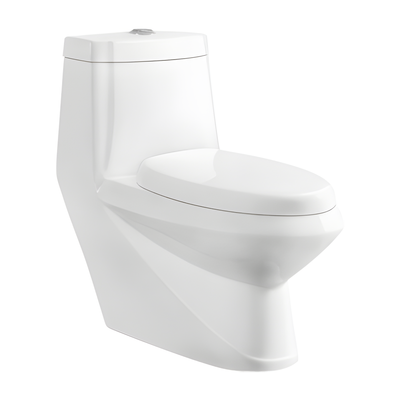 SANIKB HSJ-2362 30 inch washdown one piece toilet 10/12 inch rough in
