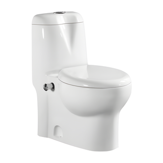SANIKB HSJ-2371 28 inch one piece toilet 180mm p trap