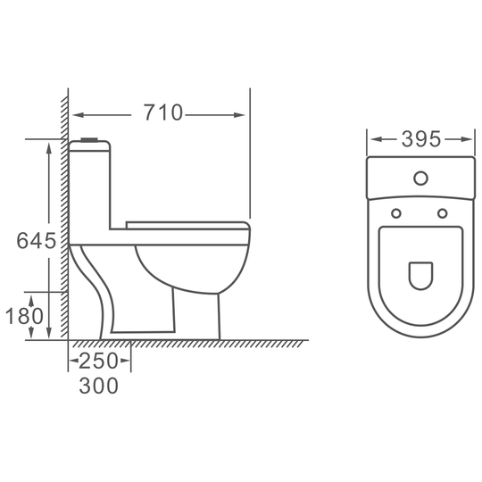 SANIKB HSJ-2388 one-piece toilet dimension drawing, 710 × 395 × 645 mm