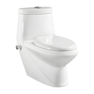 SANIKB HSJ-2389 29 inch washdown one piece toilet 10 inch rough in