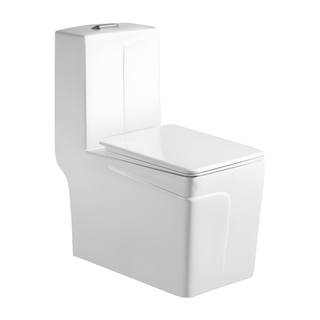 SANIKB HSJ-2478 27 inch siphonic one piece toilet 10 inch rough in