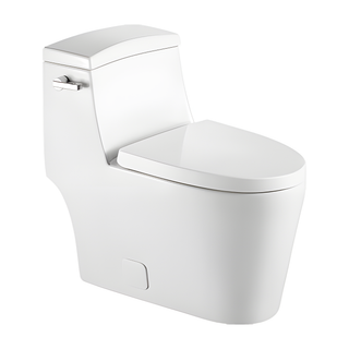 SANIKB HSJ-2494 29 inch swirl flush one piece toilet 12 inch rough in