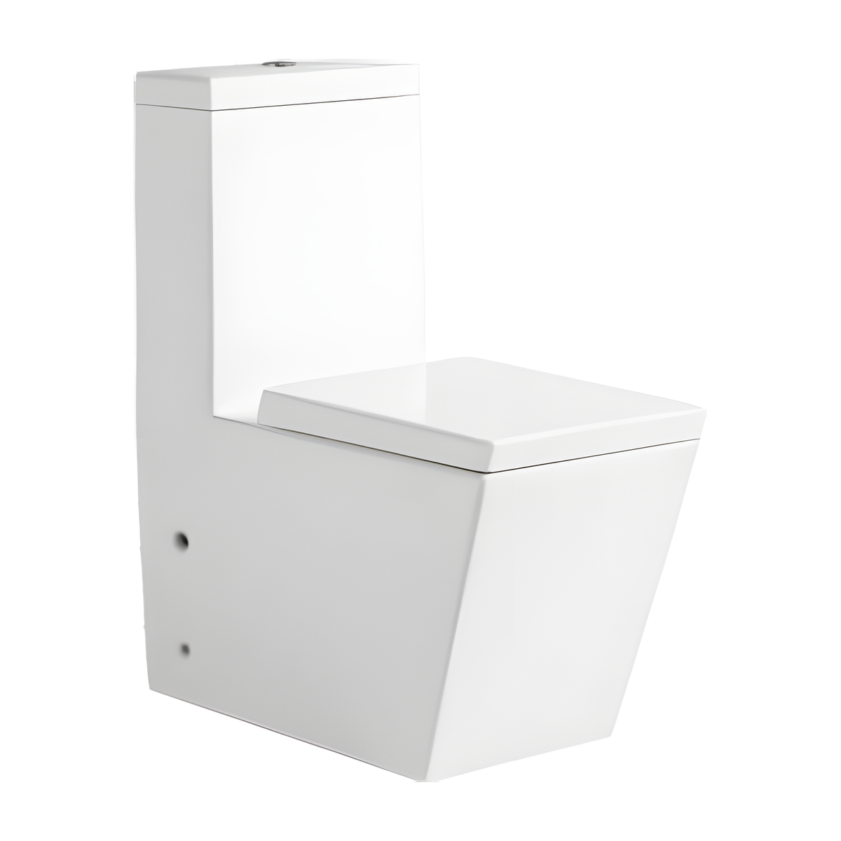 SANIKB HSJ-2495 26 inch washdown one piece toilet 10/12 inch rough in