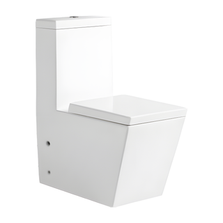 SANIKB HSJ-2495 26 inch washdown one piece toilet 10/12 inch rough in