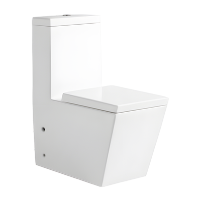 SANIKB HSJ-2495 26 inch washdown one piece toilet 10/12 inch rough in