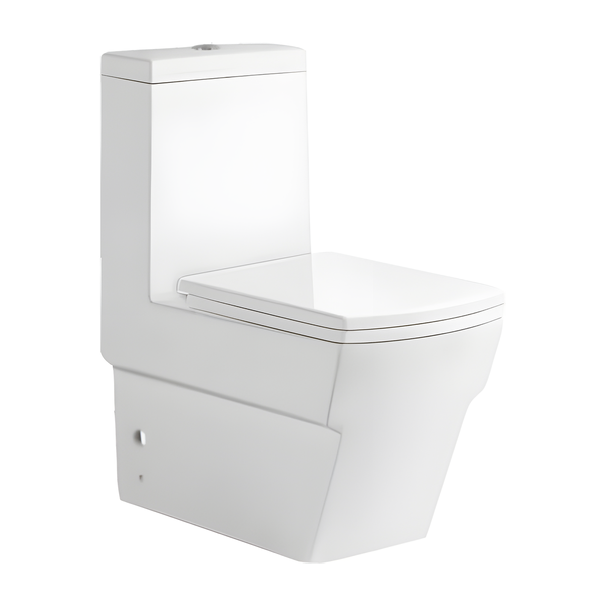 SANIKB HSJ-2496 hsj-2496 washdown one piece toilet