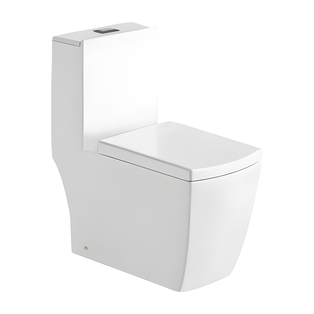 SANIKB HSJ-2501 hsj-2501 washdown one piece toilet