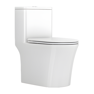 SANIKB HSJ-2527 24 inch swirl flush one piece toilet 12 inch rough in