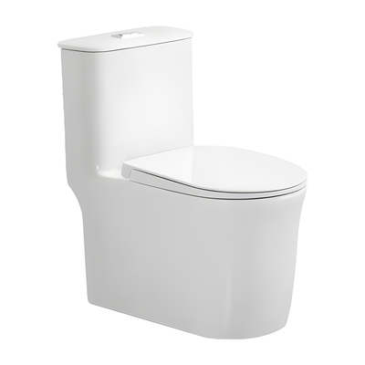 SANIKB HSJ-2528 27 inch swirl flush one piece toilet 12 inch rough in