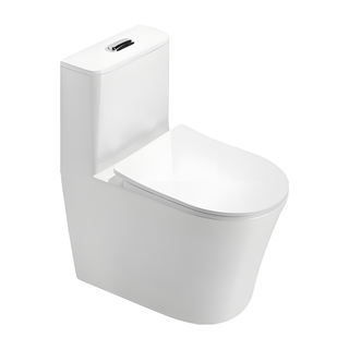 SANIKB HSJ-2531 23 inch swirl flush one piece toilet 12 inch rough in