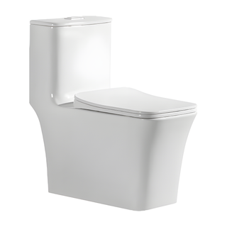 SANIKB HSJ-2548 28 inch rimless siphonic one piece toilet 10 inch rough in