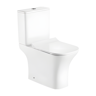 SANIKB HSJ-3048 rimless washdown two piece toilet 10 inch rough in