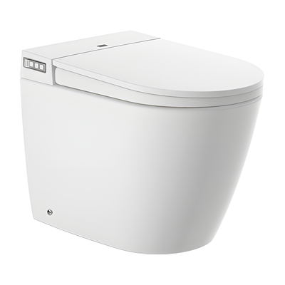 SANIKB HSJ-T04 intelligent smart toilet