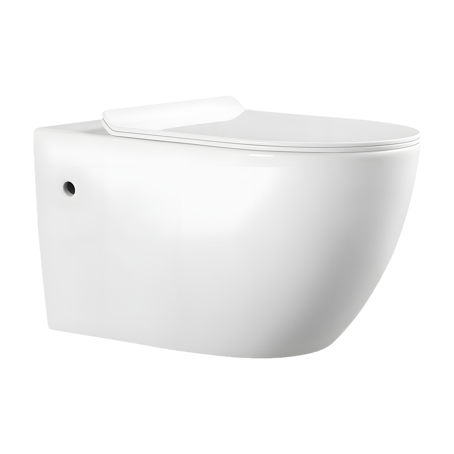 SANIKB LJ-A09H wall-hung toilet, White