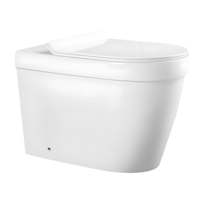 SANIKB LJ-B011 floor standing back to wall toilet