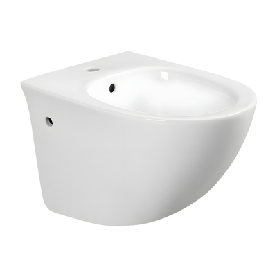 SANIKB LJ-DE06 21 inch ceramic bidet