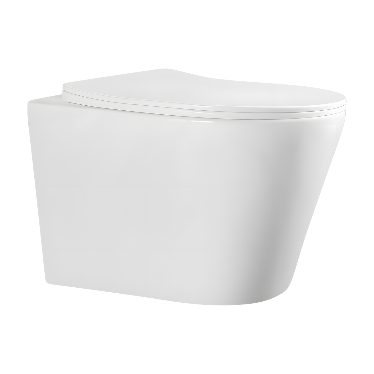 SANIKB LJ-E09S hanging toilet