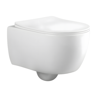 SANIKB LJ-E10 19 inch rimless wall hung toilet