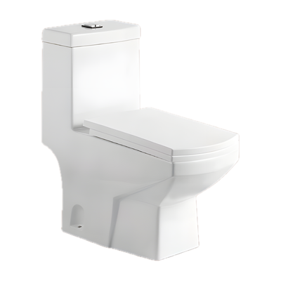 SANIKB NBK-3053 floor mounted rear outlet toilet