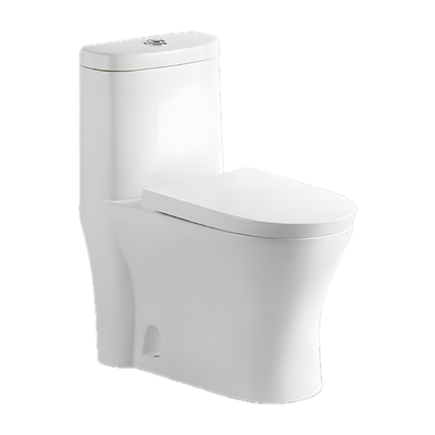 SANIKB NBK-3070 floor mount toilet