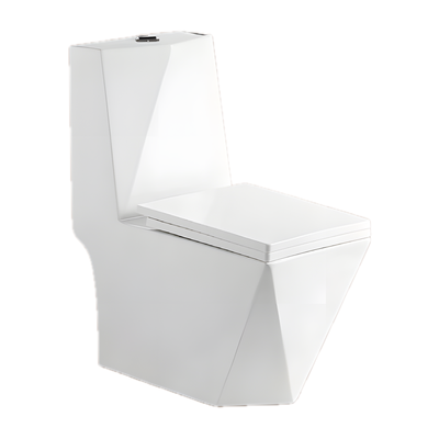 SANIKB NBK-3071 wall outlet toilet
