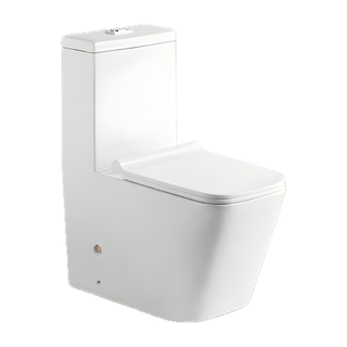 SANIKB NBK-3074 27 inch one piece toilet 10 inch rough in
