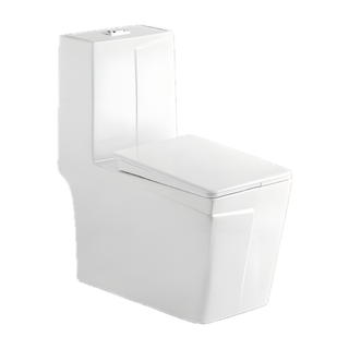 SANIKB NBK-3075 27 inch one piece toilet