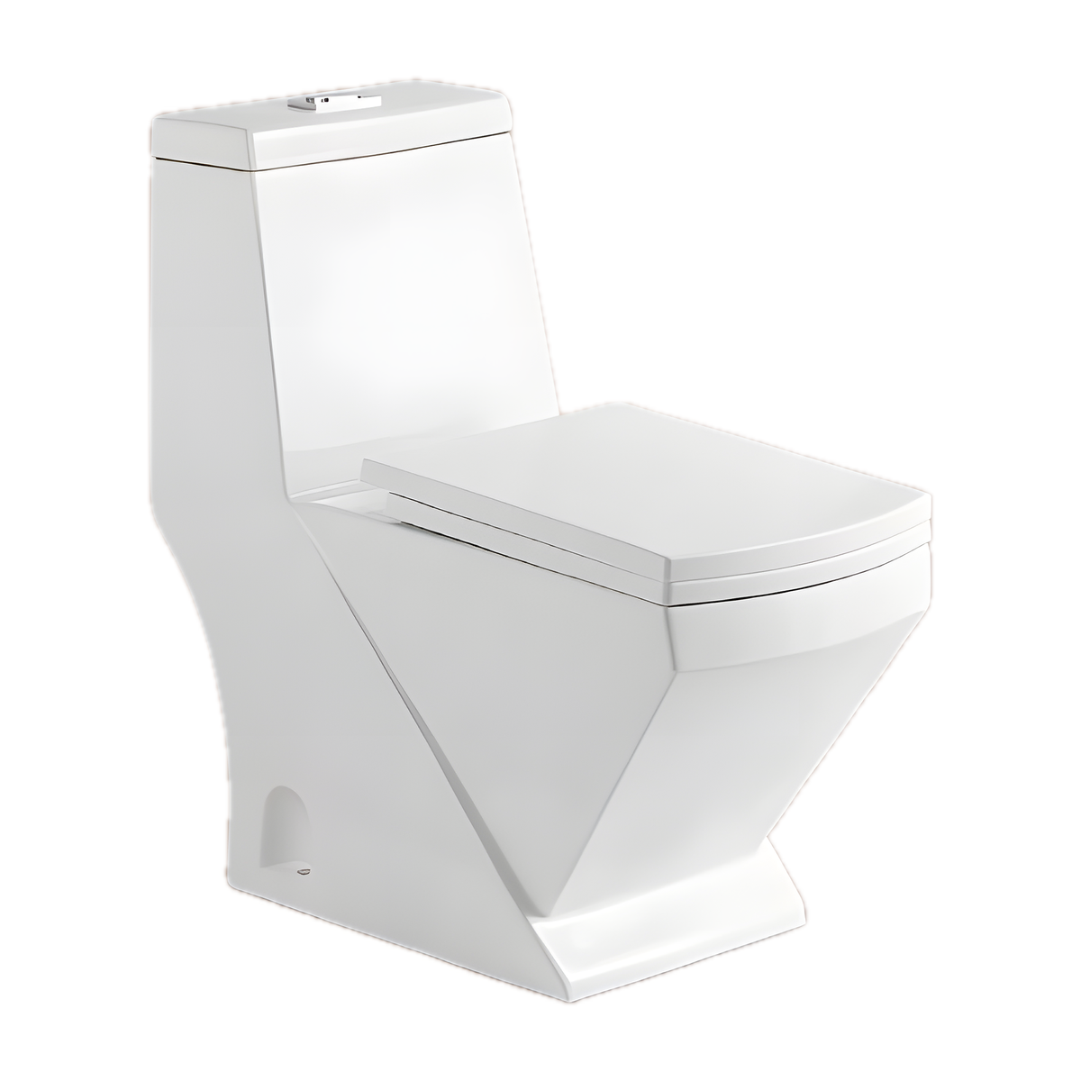 SANIKB NBK-3099 29 inch one piece toilet 10 inch rough in