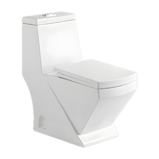 SANIKB NBK-3099 29 inch one piece toilet 10 inch rough in