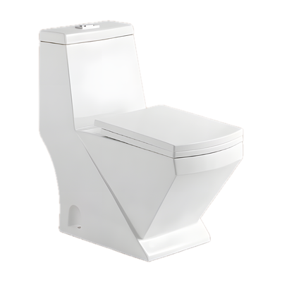 SANIKB NBK-3099 29 inch one piece toilet 10 inch rough in
