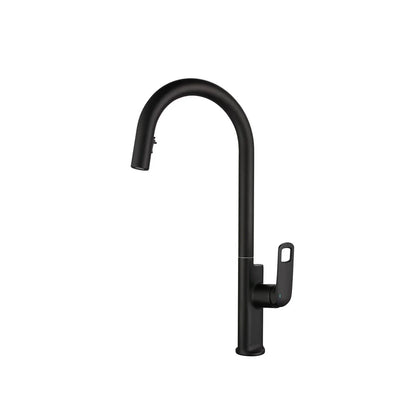 Matte black pull-down kitchen faucet, brass body, high-arc gooseneck with looped lever — SANIKB FYF-05017.