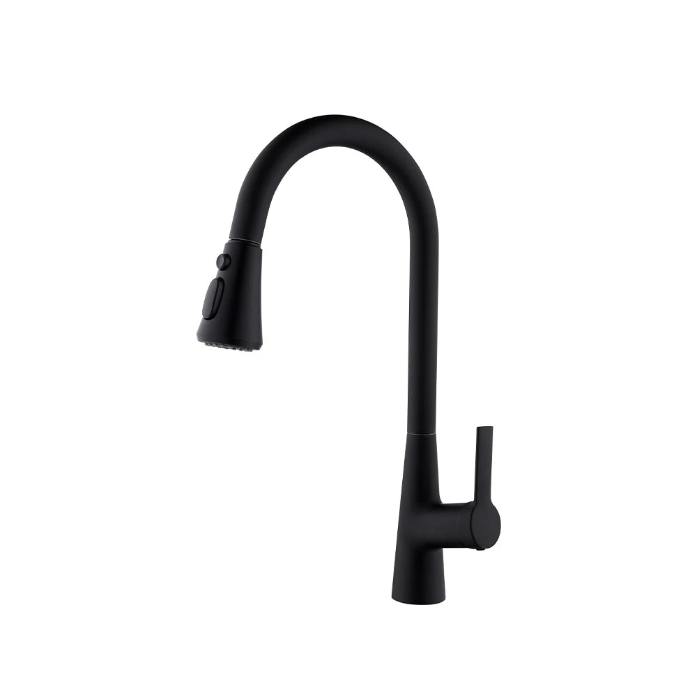 Matte black pull-down kitchen faucet, stainless steel body, high-arc gooseneck spout — SANIKB FYF-05032.