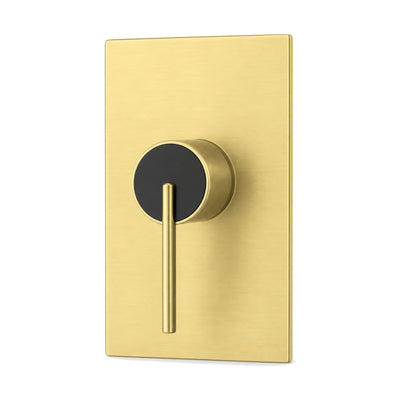 Brushed gold rectangular shower valve trim with pin lever on black-faced round hub, with rough-in body — SANIKB SP1016 21 43 1