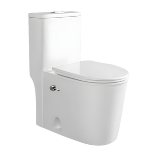SANIKB SL-8048H 26 inch swirl flush one piece toilet 10 inch rough in