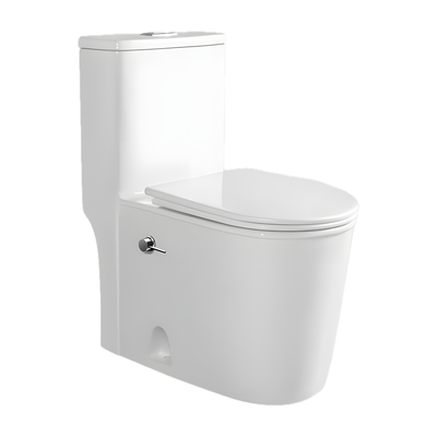 SANIKB SL-8048H 26 inch swirl flush one piece toilet 10 inch rough in