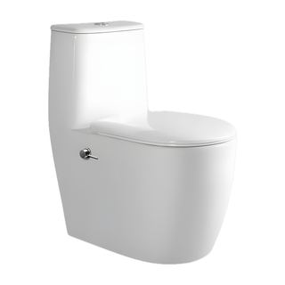 SANIKB SL-8848 28 inch swirl flush one piece toilet 10 inch rough in